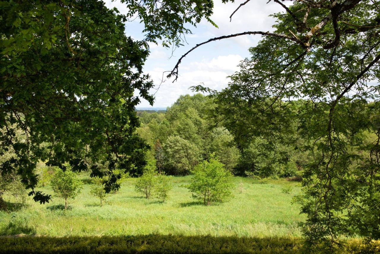 Casa Quinta De Cecil Villalba, Lugo Vilalba Eksteriør bilde